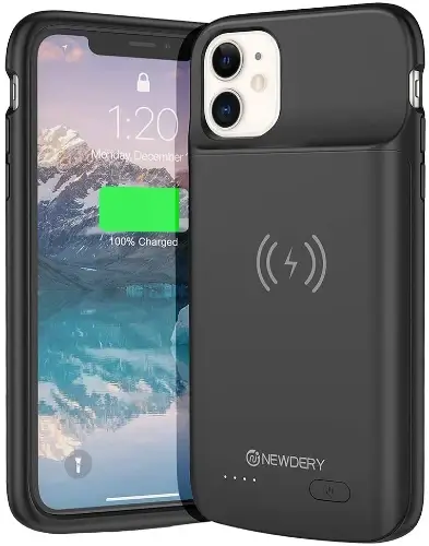 NEWDERY Extended Battery Pack
