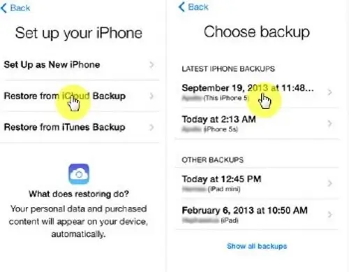 Restore sms from iCloud Backup